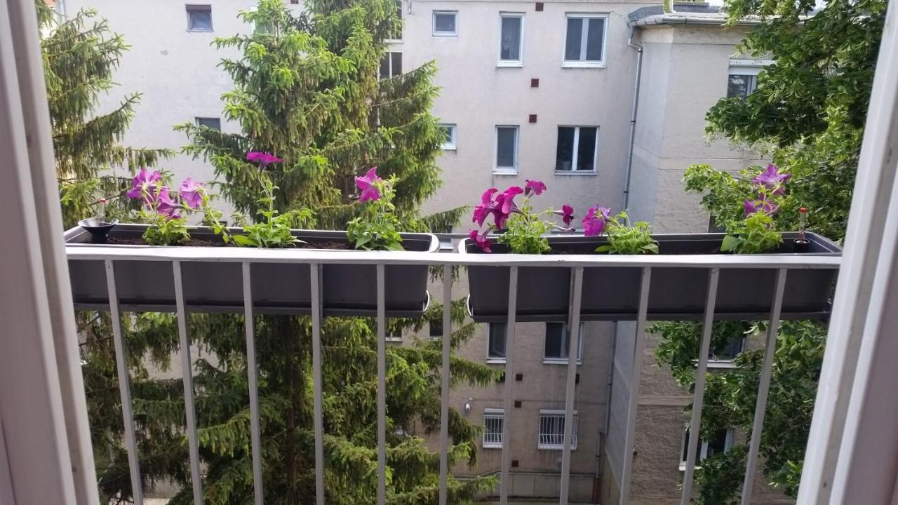 Tisza-Parti Napfeny Apartman Σέγκεντ Εξωτερικό φωτογραφία